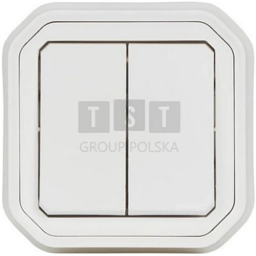 Legrand 069855L Nowe PLEXO 55 Lacznik podwojny/prz
