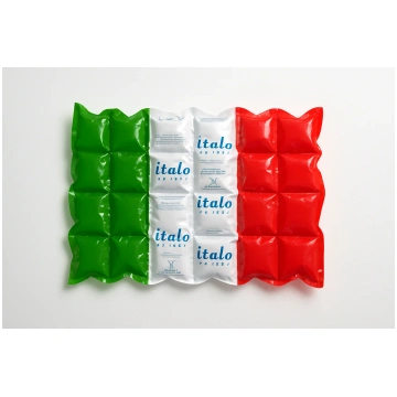 880 gram synthetic ice pack. - Italo / 80