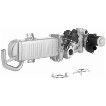 BorgWarner 710861D/1