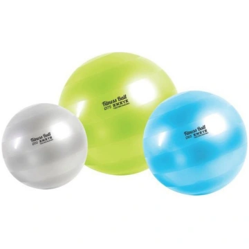 Fitnesa bumba tehno Pro 55cm