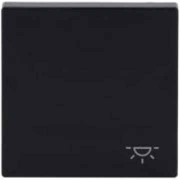 Rocker with legend Symbol "light" for Switch/push 