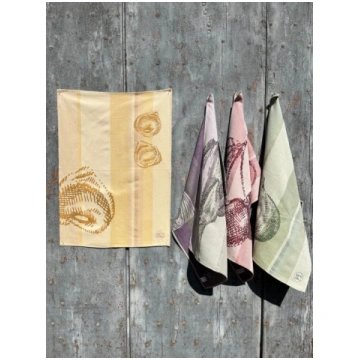 Strofinaccio da cucina Jacquard - Modoro
