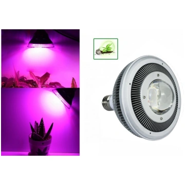 LED augšanas spuldze augiem 40W Cool Mania