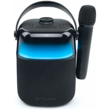 Rechargeable Bluetooth karaoke sound system with w