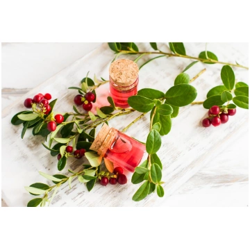 Veselīgais dzērveņu rīta SPA rituāls pie MYSPA
