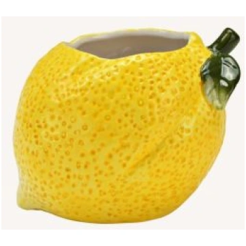 Dekoratīvas puķu pods - Citrons, 10042763