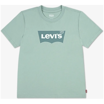 Levi's cameo green batwing T-shirt