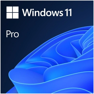 Windows 11 Pro - license - 1 license Microsoft