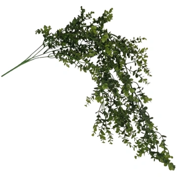 Nokarenie eikalipta zari H90cm