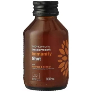 Atsvaidzinošs tējas dzēriens VIGO Kombucha Immunit