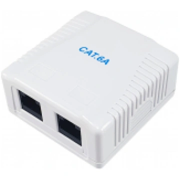 Equip 2-Port Cat.6A Surface Mount Box