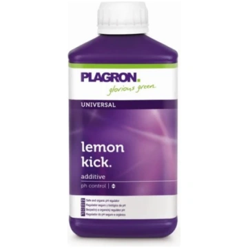 500 ml Amnesia.lt