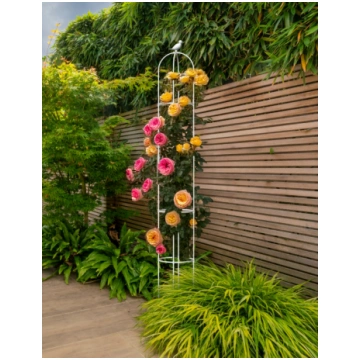 Pergola rozēm Balta, augstums 210 cm, metāla - Cul