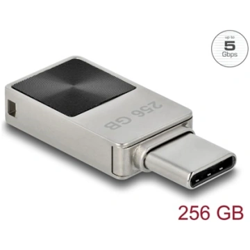 Delock Mini USB 5 Gbps USB-C™ Memory Stick 256 GB 