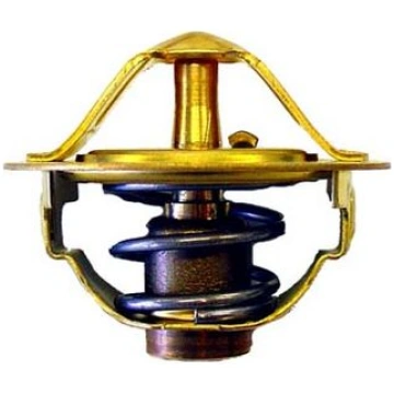 BorgWarner (Wahler) 41035288D Termostats, Dzesēšan