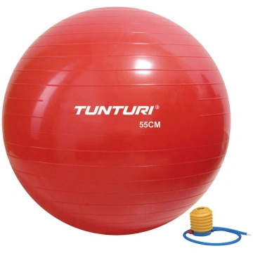 Vingrošanas bumba ar pumpi Tunturi Gymball 55 cm, 