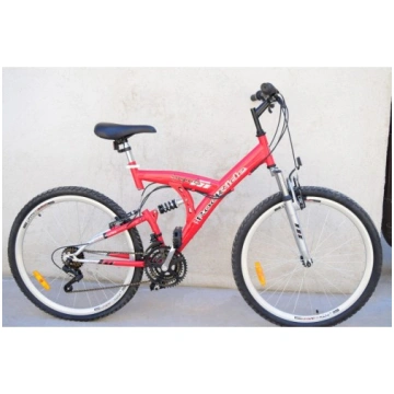 Rockrider MTB