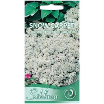Alise Snow Carpet sēklas 0,5gr Sēkluva