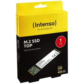 Intenso M.2 SSD TOP 1TB SATA III ( 3832460 4034303