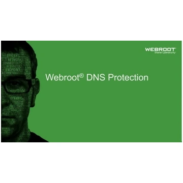 Webroot DNS Protection with GSM Console, 2 year(s)