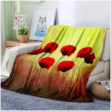EHOMERY Cuddly sega Pūkaina mīksta sega Kempinga s