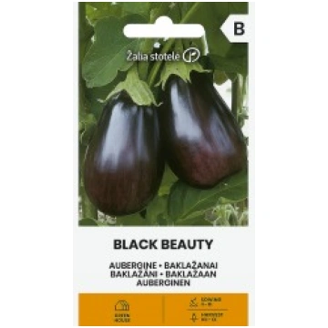 BAKLAŽĀNI BLACK BEAUTY ŽALIA STOTELĖ