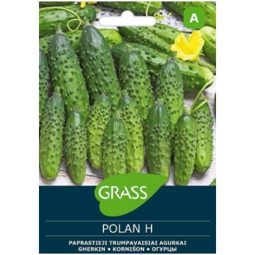 Parastā īsaugļu gurķu sēklas POLAN H, 1 g