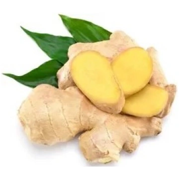 Turmeric&Ginger liquid extract Bioherba 50ml
