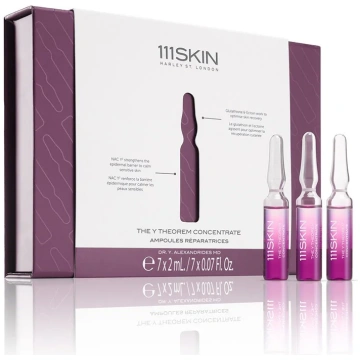 The Y-Theorem Concentrate 111Skin