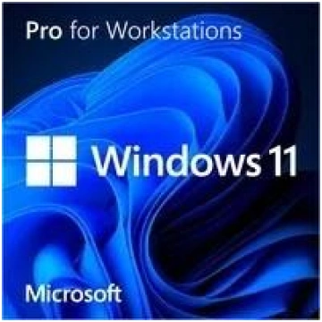 Microsoft SB Windows 11 Pro for Workst 64Bit UK - 