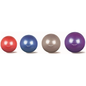 GYM BALL PALLA PSICOMOTORIA PROPIOCETTIVA ANTISCOP