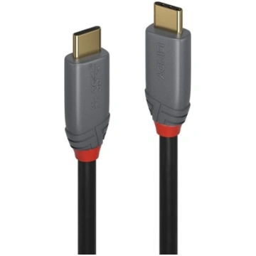 Lindy 2m USB 3.2 Type C to C Cable, 20Gbps, 100W P