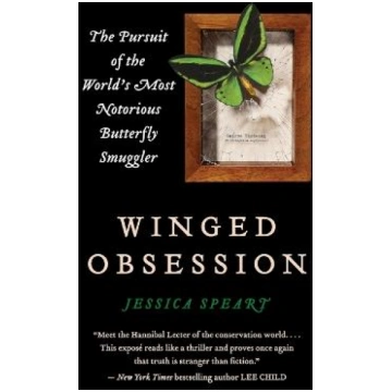 Winged Obsession