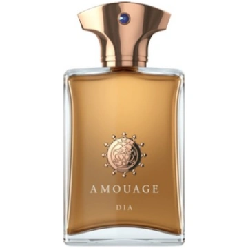 Tasteperfumes.lv | Amouage Dia EDP Man 100 ml