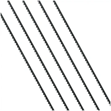 Asmens Hecht 008916, 5 gab