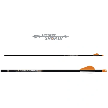 ARROWS, EASTON CARBON AFTERMATH 6PK