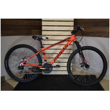velosipēds Hogan classic pro Hogan pro