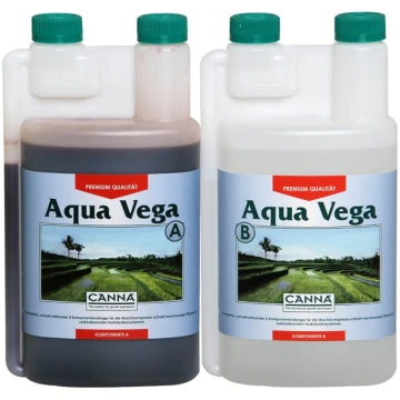 2x1L Amnesia.lt