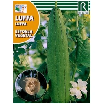 ĶIRBIS LUFFA ESPONJA VEGETAL 3 g ROCALBA 04/2027