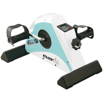 Exercise bike EVERFIT mini velo trenažieries WELLY