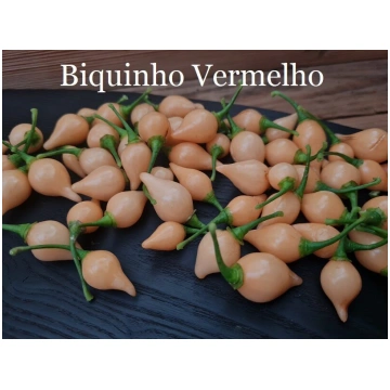 Biquinho Vermelho, rozā (1*) (asā pipara stāds pod