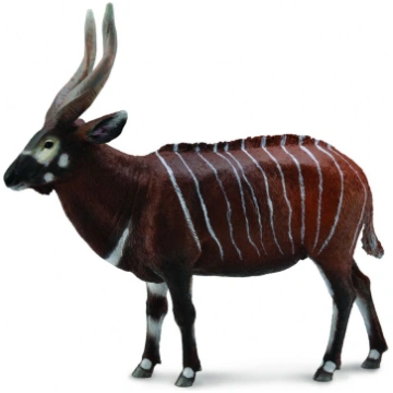 Figūriņa Collecta Antylopa Bongo (004-88809)