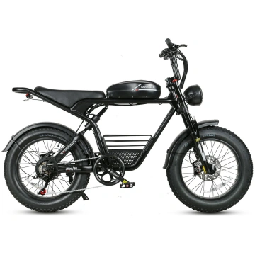 GTXR& SAMEBIKE M20 1000W Electric Bike mysite
