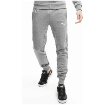 Treniņbikses vīriešiem Puma Team Goal Casuals 6585