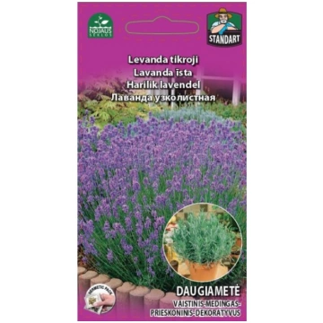 ĪSTA LAVANDA