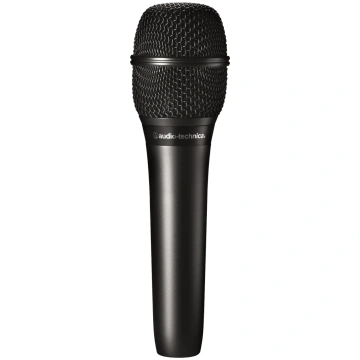 Audio-Technica AT2010
