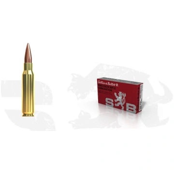 Patronas Sellier&Bellot 308Win FMJ-Match 10.9g