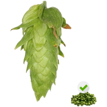 Cascade hops - 50 g