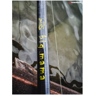 Spinings Robinson BIG MAMA 2.70m 18-70g 14094