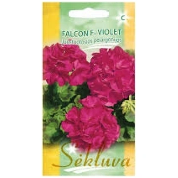 Pelargonijas Falcon F1 Violet 5s